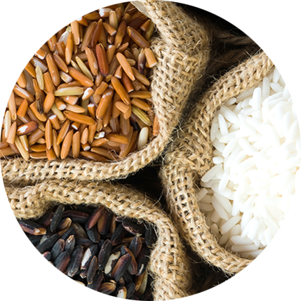 arroces