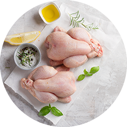 img-pollo