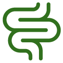 iconos-png_gastrointestinal