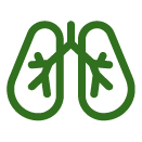 iconos-png_respiratory-sistem