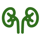 iconos-png_urology